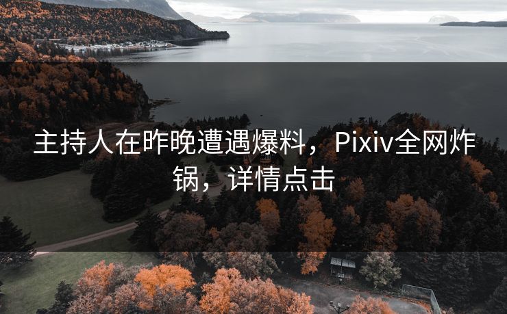 主持人在昨晚遭遇爆料,Pixiv全网炸锅,详情点击 主持人在昨晚遭遇爆料,Pixiv全网炸锅,详情点击