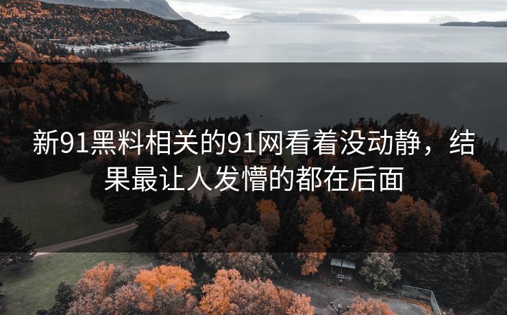 新91黑料相关的91网看着没动静，结果最让人发懵的都在后面