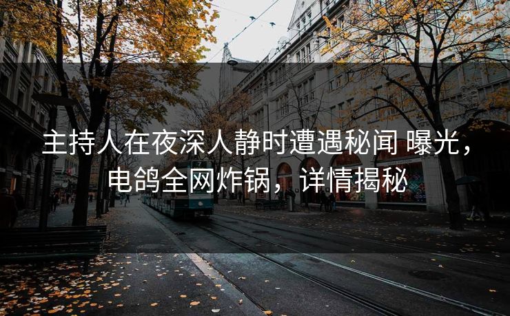 主持人在夜深人静时遭遇秘闻 曝光,电鸽全网炸锅,详情揭秘 主持人在夜深人静时遭遇秘闻 曝光,电鸽全网炸锅,详情揭秘