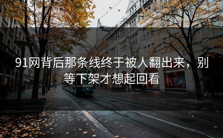 91网背后那条线终于被人翻出来，别等下架才想起回看